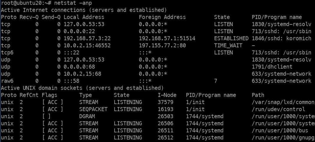 How to use netstat command in Linux - itinixpro.com