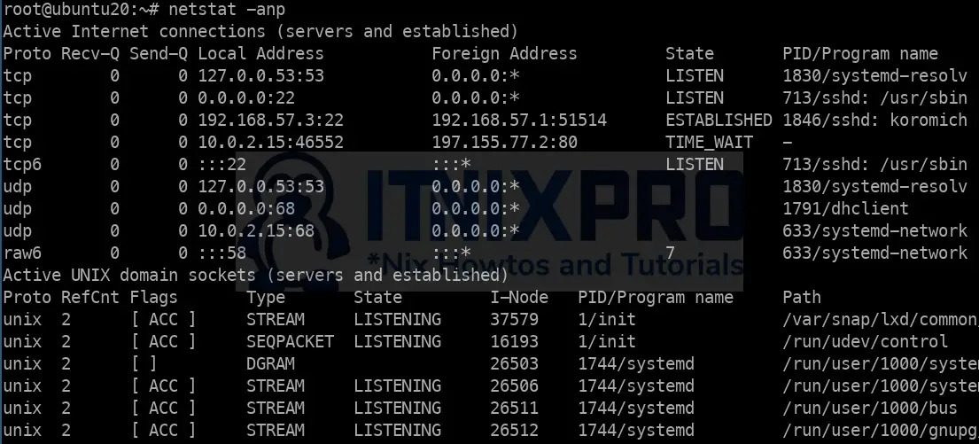 use netstat command in Linux