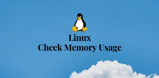 linux check process memory usage