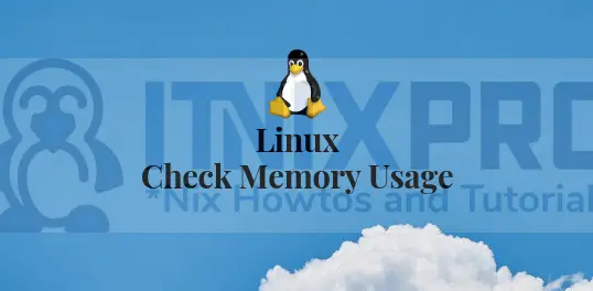 How To Check Memory Usage on Linux