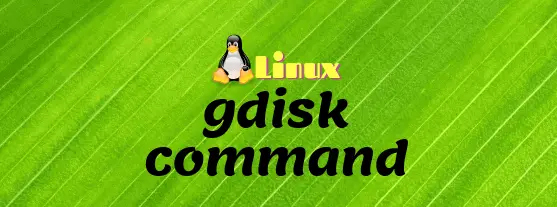 Manage Disk Partitions in Linux using gdisk