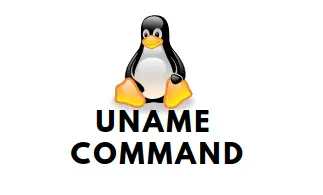 How to Use uname Command on Linux