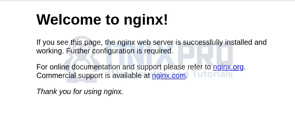 Install Nginx on Debian 11