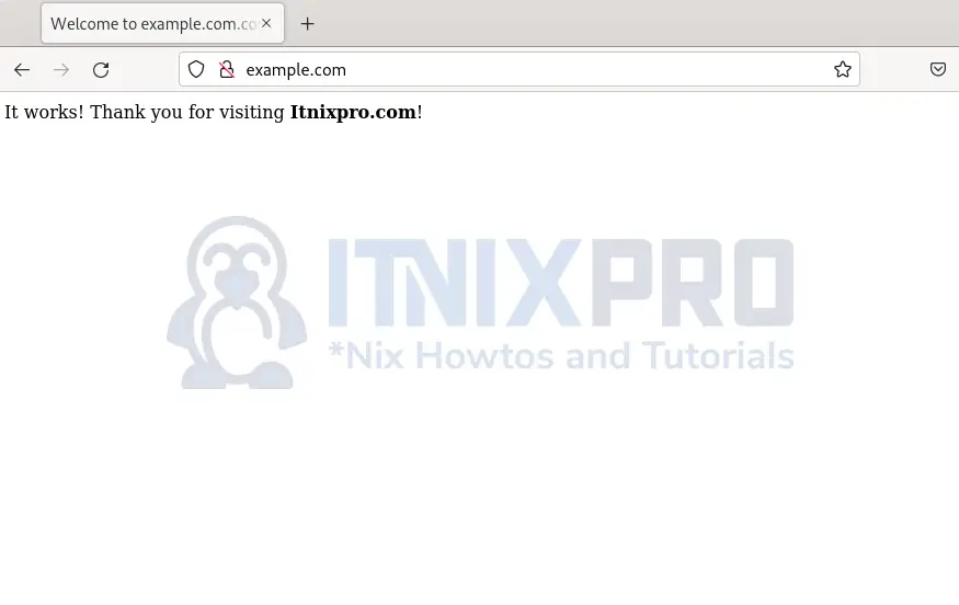 Install Nginx Web Server on Rocky Linux