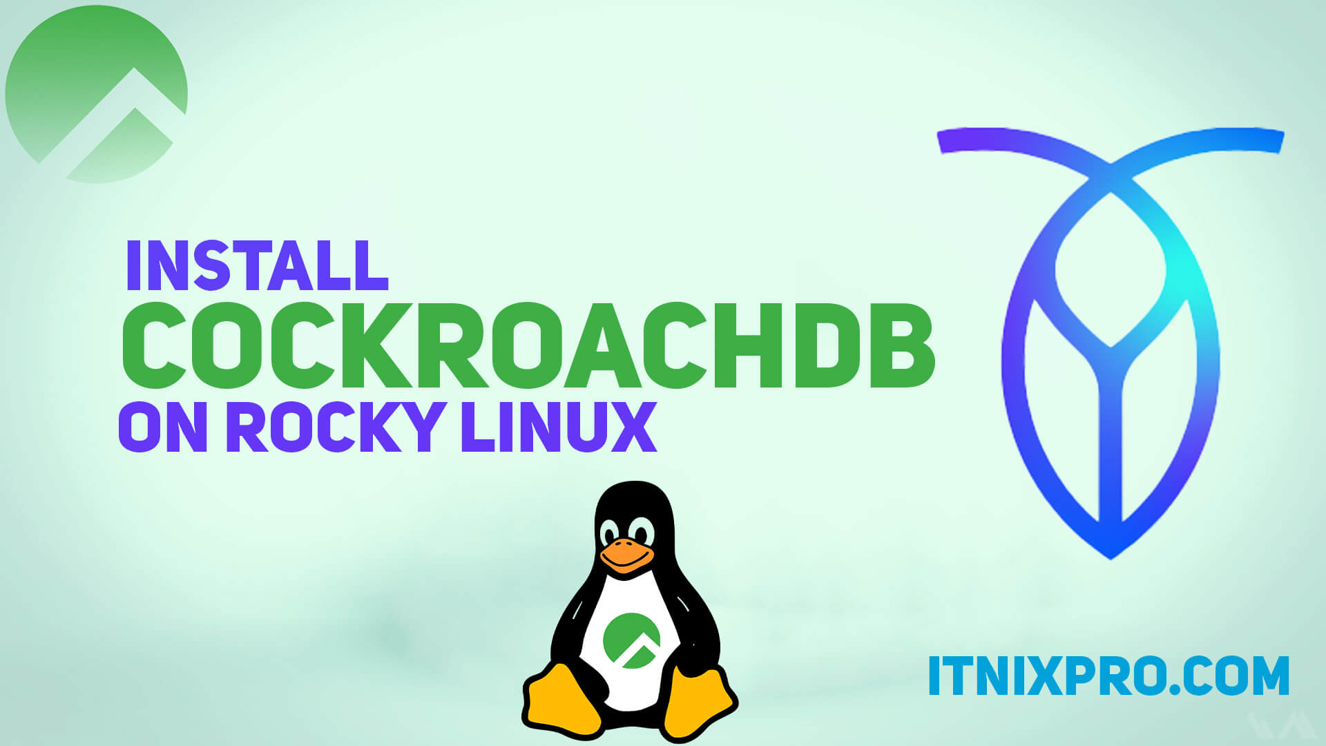 Install CockroachDB on Rocky Linux