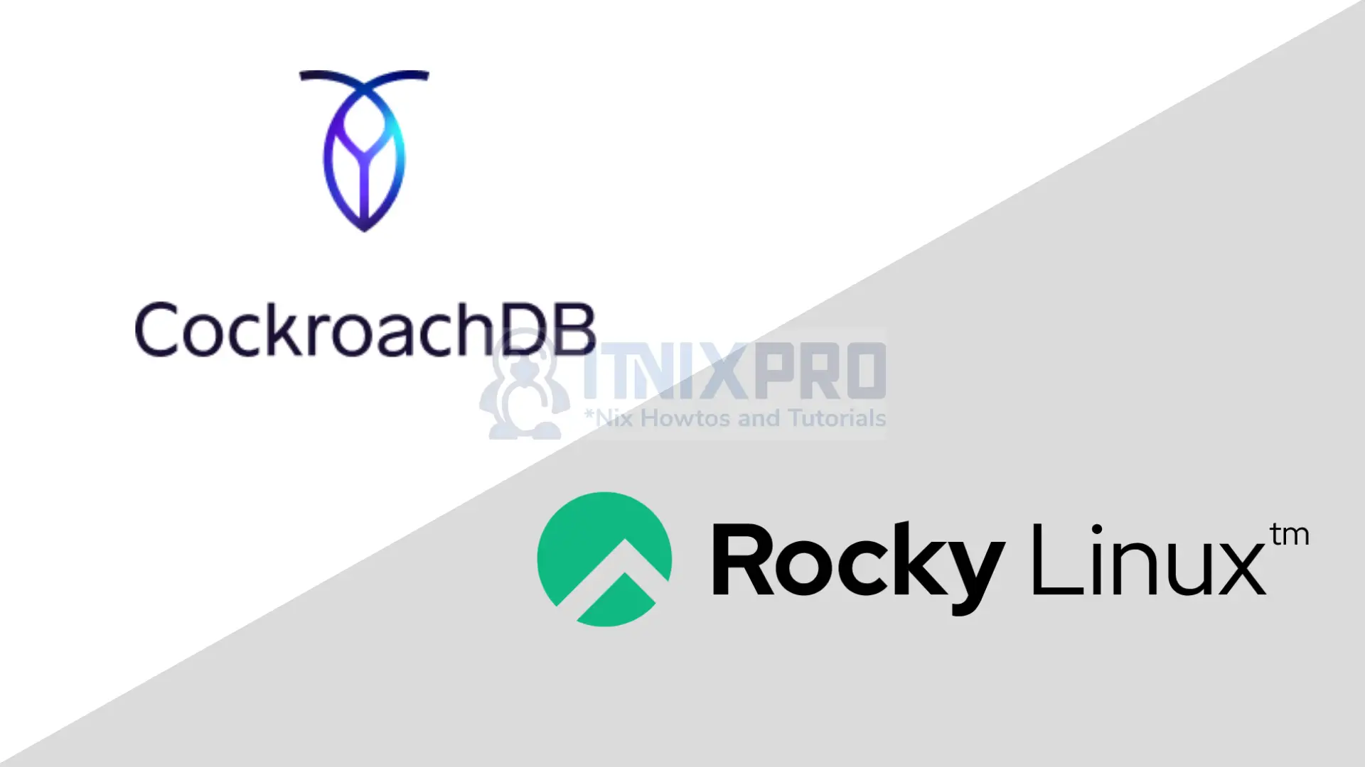 Install CockroachDB cluster on Rocky Linux
