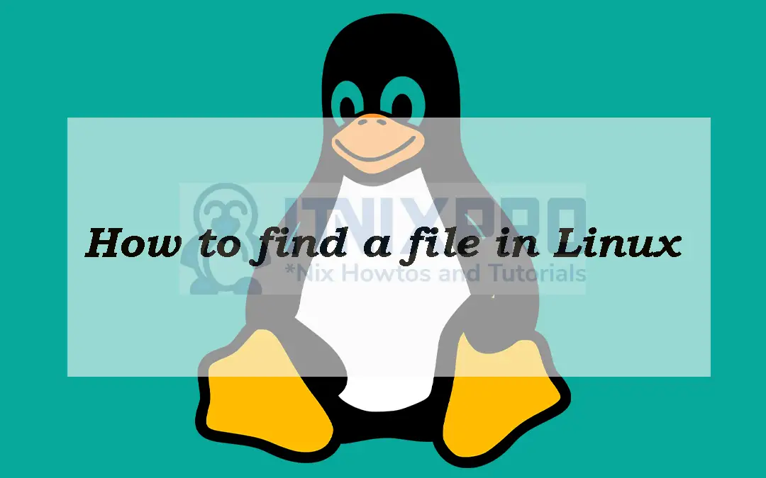 How to find a file in Linux