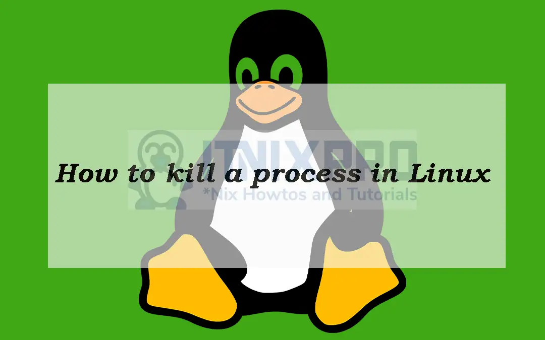 How to kill a process in Linux