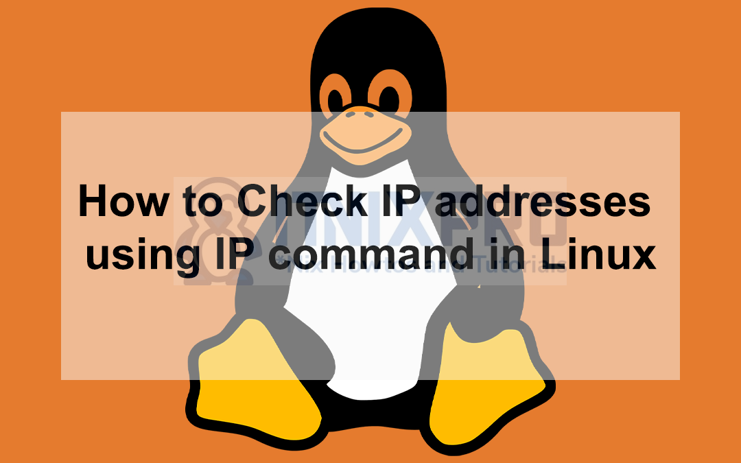 How to Check IP addresses using IP command in Linux