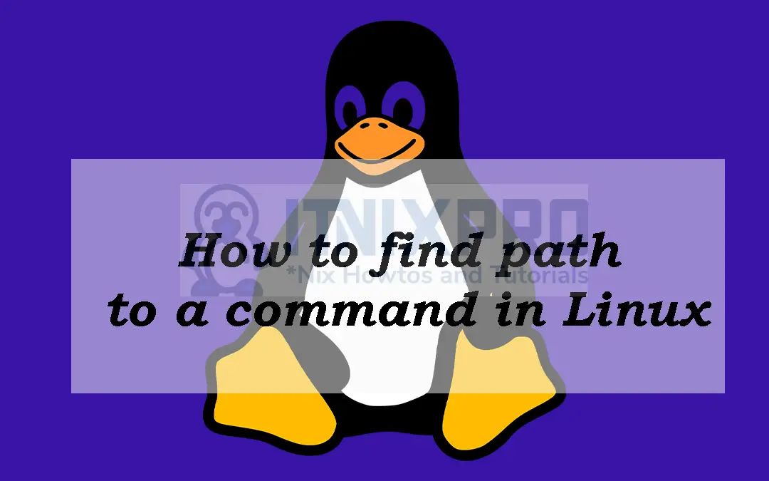 How to find path to a command in Linux
