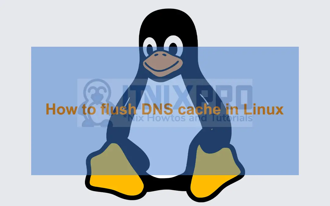 How to flush DNS cache in Linux